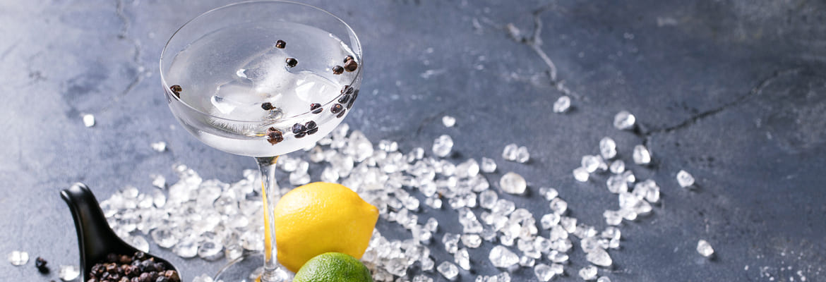 Qualität von Gin und ihren Etiketten Qualität von Gin und ihren Etiketten