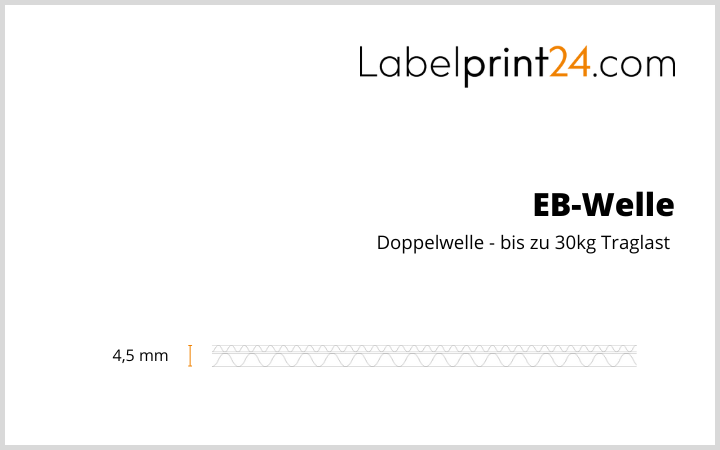 EB-Welle Doppelwelle