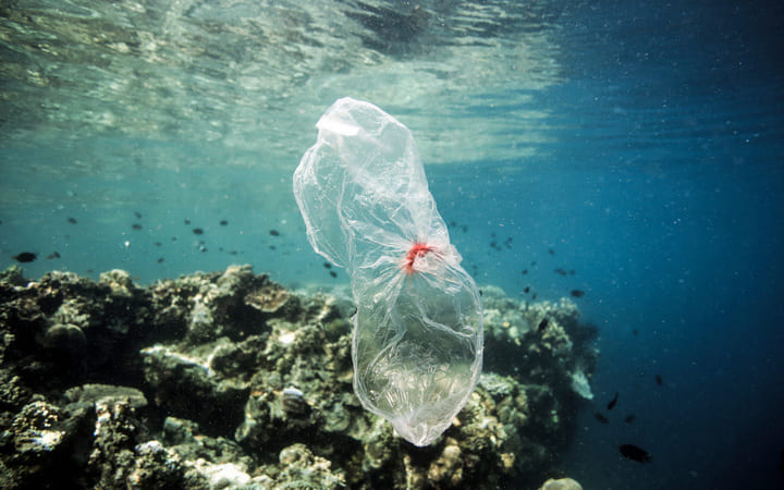 Plastik im Meer